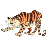 tiger