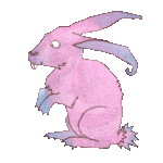 rabbit