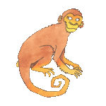 monkey