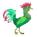 rooster