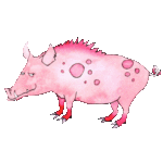 pig