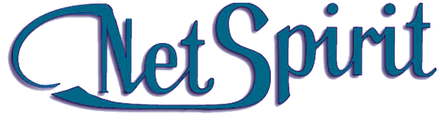 Netspirit logo