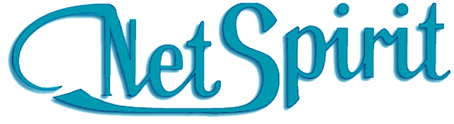 Netspirit logo