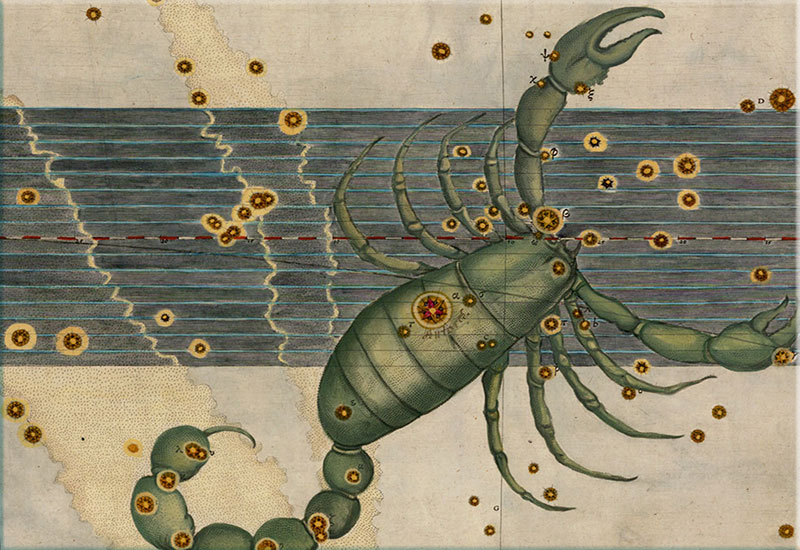 Horoskop | Scorpio, Skorpionen | Ugehoroskop